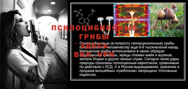 гидра Белоозёрский