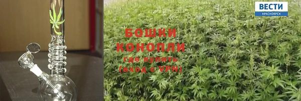 гидра Белоозёрский