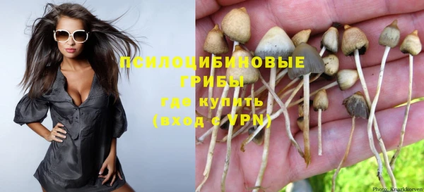 гидра Белоозёрский
