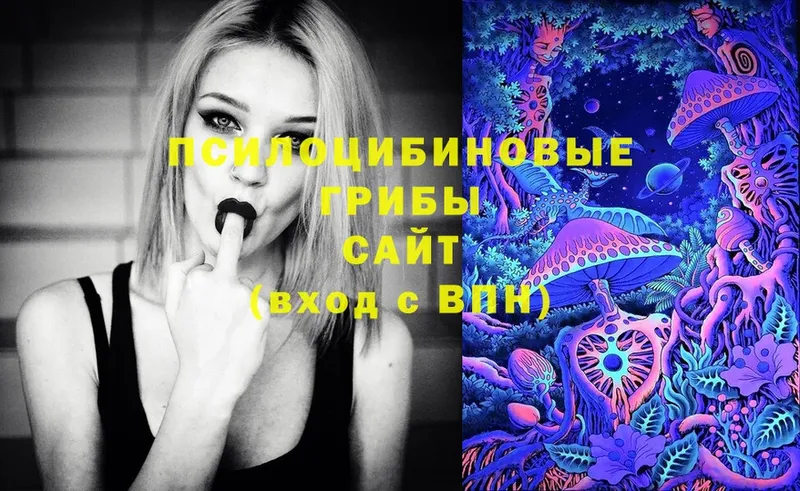 Псилоцибиновые грибы Cubensis  дарнет шоп  Белоозёрский 